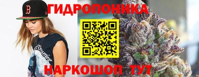 сатива Тара