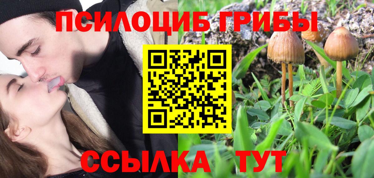 Галлюциногенные грибы Cubensis Асино