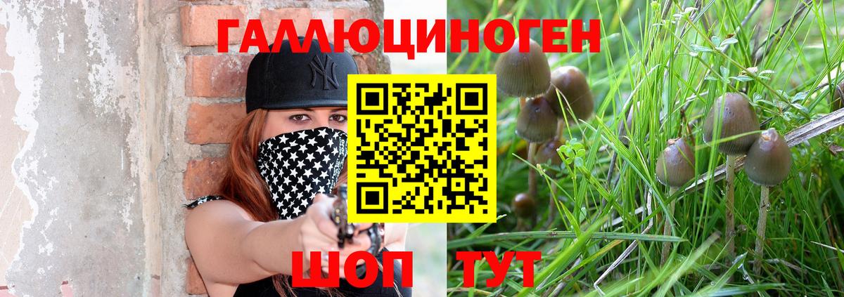 Псилоцибиновые грибы Psilocybine cubensis  Вход с VPN  Галлюциногенные грибы мицелий  Асино 