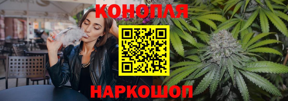 Каннабис план Асино